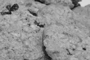 Cookie Factory Bakery, 225 E 3rd St, Cameron, MO, 64429 - Image 1 of 1