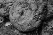 Aunt Emma's Cookies, 2200 E 2nd St, Ste F, Gulf Shores, AL, 36542 - Image 1 of 1