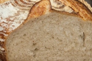 Auntie Ellyn's Mandel Bread Llc, Englishtown