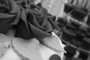 Cake Candy & Wedding Supply Company, 204 3rd St N, Waite Park, MN, 56387 - Image 1 of 1