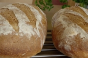 Bread & Butter Baking Company, 3346 Washington St, Jamaica Plain, MA, 02130 - Image 1 of 1