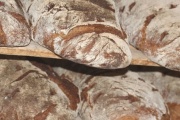 Bread Kneads, 510 S Blanchard St, Findlay, OH, 45840 - Image 1 of 1