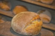 Breadbasket Bakery, 485 Washington St, Norwood, MA, 02062 - Image 1 of 1
