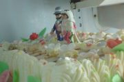 Bridal Cakes, Kenosha