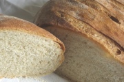 Bunny Bread, Alexandria
