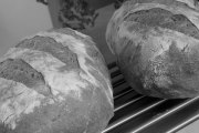 Bunny Bread, 7403 Pagedale Industrial Ct, St. Louis, MO, 63133 - Image 1 of 1