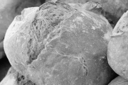 Butternut Bread, 110 W Ridge Rd, Griffith, IN, 46319 - Image 1 of 1