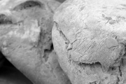 Butternut Bread, 1314 Russell Cave Rd, Lexington, KY, 40505 - Image 1 of 1