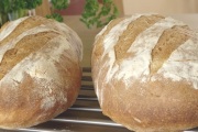 Butternut Bread, 949 W Us-50, Versailles, IN, 47042 - Image 1 of 1