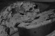 Butternut Bread Division of Interstate Brands Corporation, 900 E Us-24, Independence, MO, 64050 - Image 1 of 1