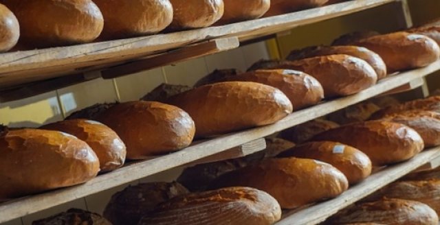 Panera Bread, Waterloo - 1818 La Porte Rd