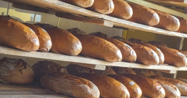 Panera Bread, Jacksonville - 8635 Blanding Blvd, #101