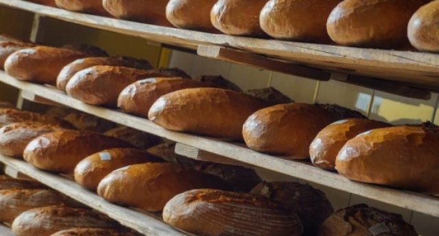 Panera Bread, Sterling Heights - 36808 Van Dyke Ave